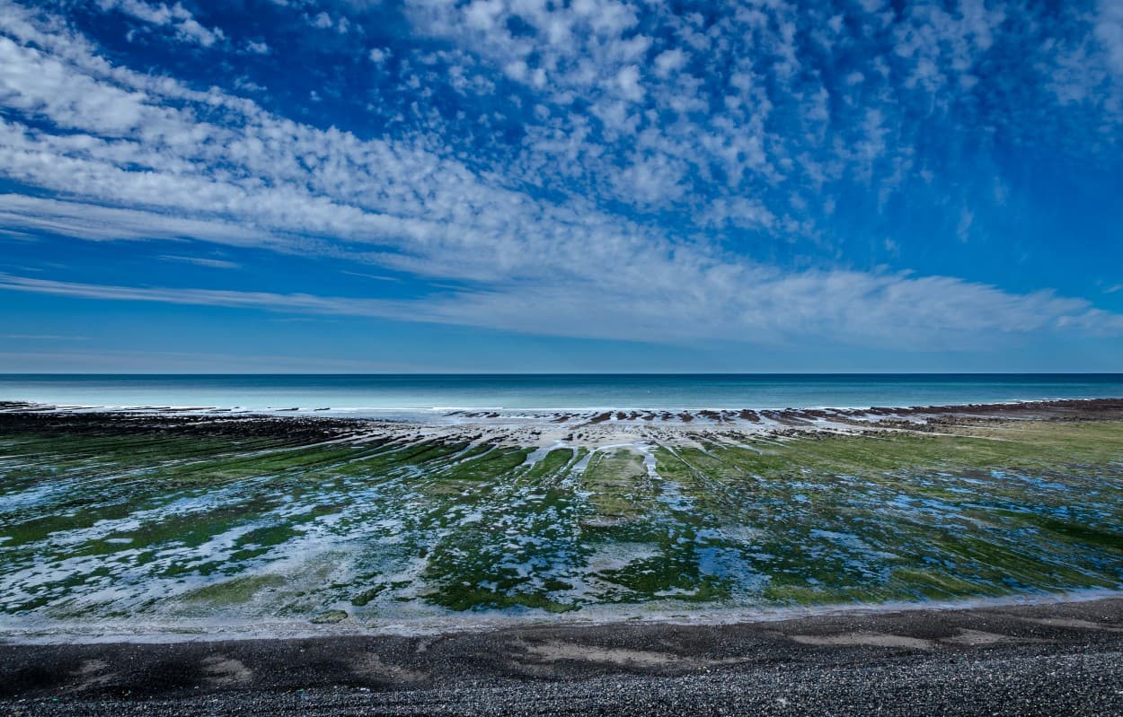 Pesca en Playas de Rawson y Playa Magagna